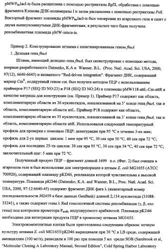 Способ получения l-треонина с использованием бактерии, принадлежащей к роду escherichia, в которой инактивирован ген fhua (патент 2333955)