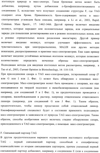Твердофазное тегирование олигосахаридов: методика для манипуляции с иммобилизированными углеводами (патент 2398237)