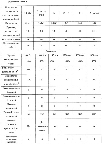 Способ управления адаптивностью и продуктивностью растений (патент 2246197)