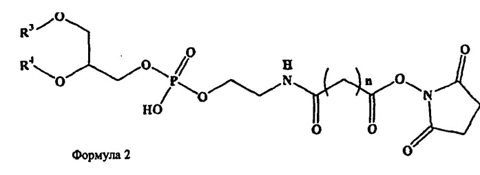 Новые композиции липосом (патент 2454229)