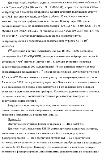 Антитела к рецептору инсулиноподобного фактора роста i и их применение (патент 2363706)