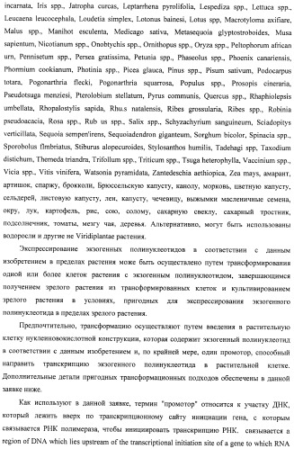 Изолированные полипептиды, кодирующие их полинуклеотиды, экспрессирующие их трансгенные растения и способы их использования (патент 2487166)
