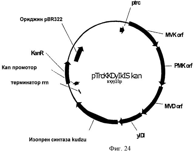 Топливные композиции, содержащие производные изопрена (патент 2531623)