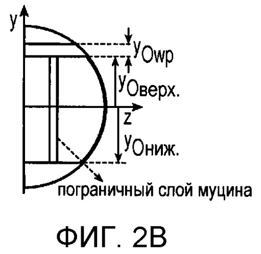 Стабилизация контактных линз (патент 2533324)