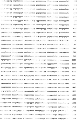 Pscaxcd3, cd19xcd3, c-metxcd3, эндосиалинxcd3, epcamxcd3, igf-1rxcd3 или fap-альфаxcd3 биспецифическое одноцепочечное антитело с межвидовой специфичностью (патент 2547600)