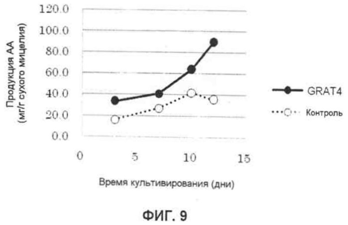 Гомолог глицерол-3-фосфат-ацилтрансферазы и его использование (патент 2545375)