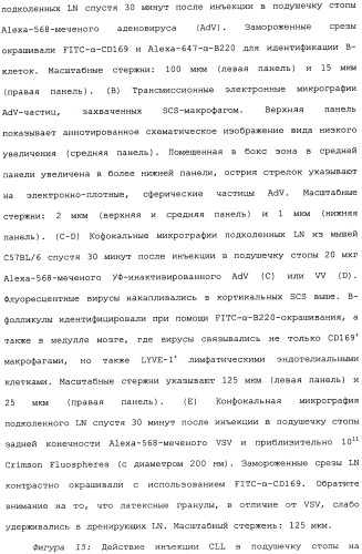 Никотиновые иммунонанотерапевтические лекарственные средства (патент 2487712)