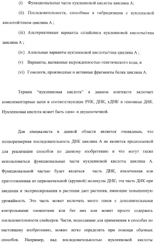 Растения с повышенной урожайностью и способ их получения (патент 2377306)