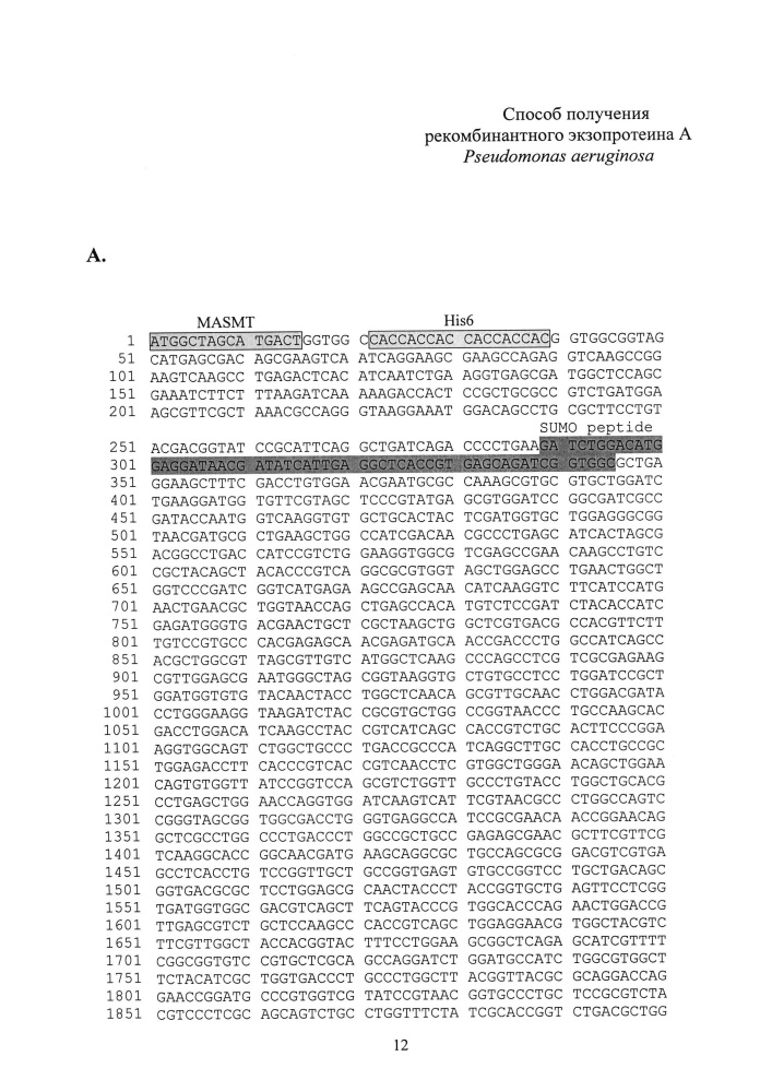 Способ получения рекомбинантного экзопротеина а pseudomonas aeruginosa (патент 2636346)