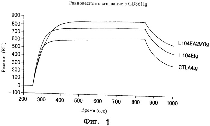 Растворимый мутантный ctla4 и его применение (патент 2283847)