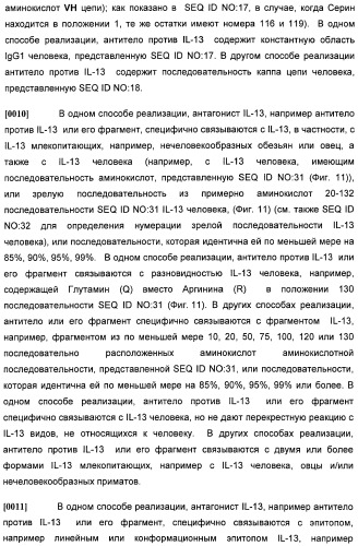 Антитела против интерлейкина-13 человека и их применение (патент 2427589)