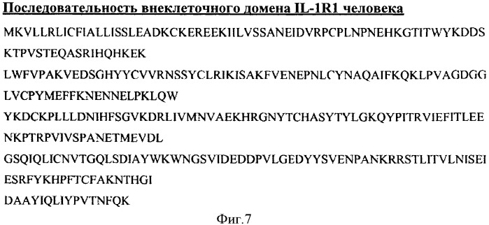 Члены связывания против il-1r1 (патент 2555532)