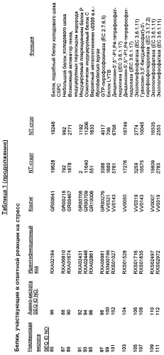 Гены corynebacterium glutamicum, кодирующие белки резистентности и толерантности к стрессам (патент 2303635)