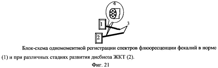 Способ люминесцентной диагностики и/или качественной оценки состояния биологического объекта и устройство для его осуществления (патент 2254372)