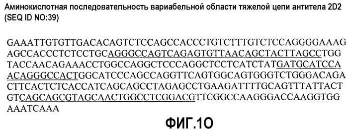 Антитела против альфа5-бета 1 и их применение (патент 2528736)