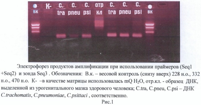 Олигонуклеотиды и способ определения днк бактерий, относящихся к семейству chlamydiaceae (патент 2486255)