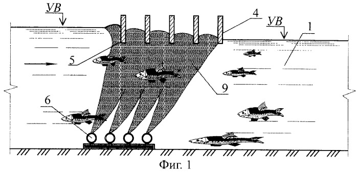 Рыбоход (варианты) (патент 2249653)