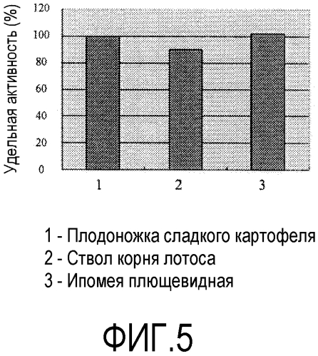 Полученная из моноцита человека стволовая клетка для терапевтического применения и способ ее индукции (патент 2573906)