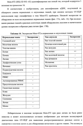 Идентификация опухолевых антигенов для диагностики и терапии (патент 2485974)