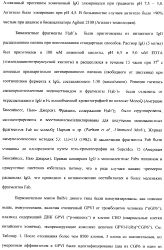 Антитела к гликопротеину vi и способы продуцирования и использования этих антител (патент 2407752)
