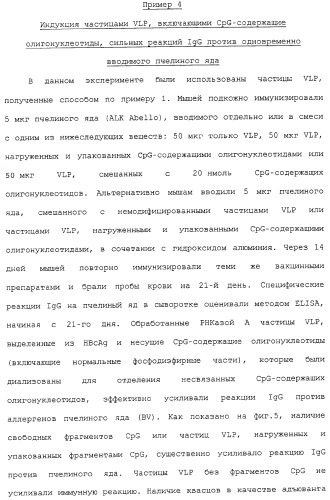 Композиции, содержащие cpg-олигонуклеотиды и вирусоподобные частицы, для применения в качестве адъювантов (патент 2322257)