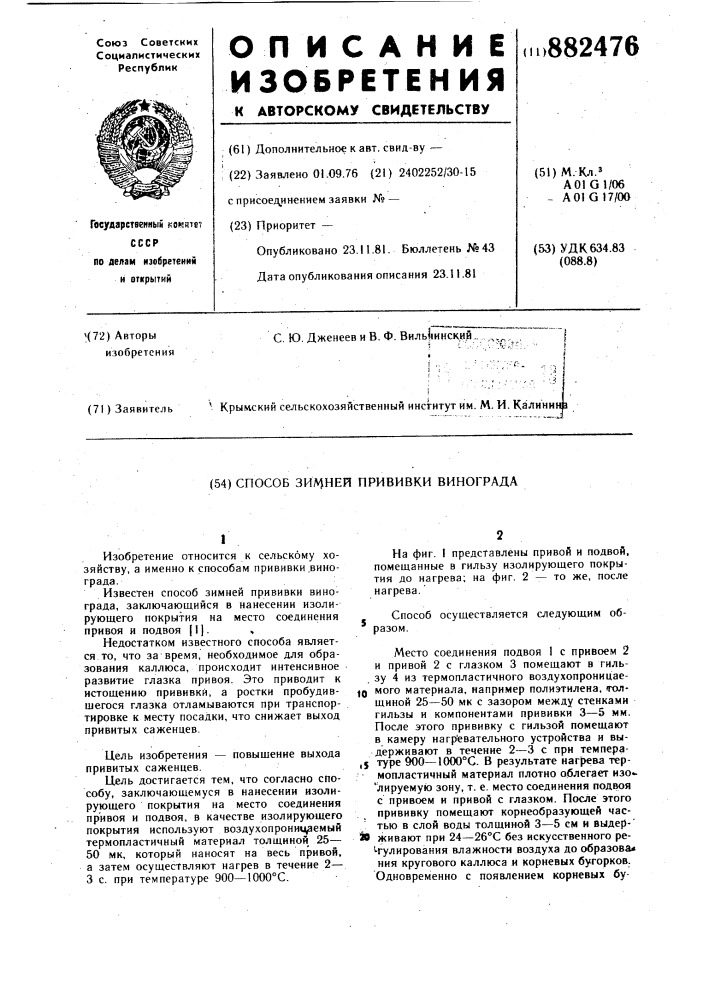 Способ зимней прививки винограда (патент 882476)