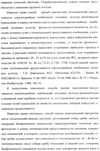 Способ прогнозирования семенной продуктивности солодки (патент 2364078)