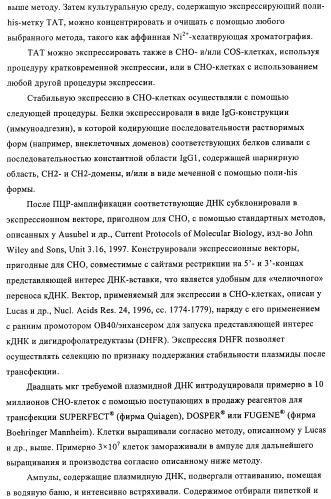 Композиции и способы диагностики и лечения опухоли (патент 2430112)