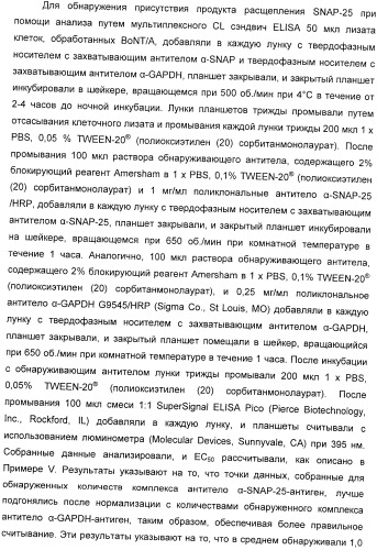 Иммунологические анализы активности ботулинического токсина серотипа а (патент 2491293)