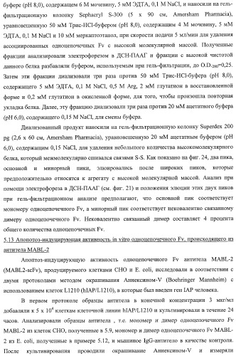 Агонистическое соединение, способное специфически узнавать и поперечно сшивать молекулу клеточной поверхности или внутриклеточную молекулу (патент 2430927)