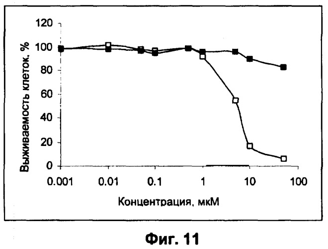 Водорастворимые анионсодержащие производные бактериохлорофилла и их применение (патент 2353624)