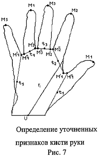 Способ и система для биометрической идентификации личности по изображению кисти руки (патент 2464634)