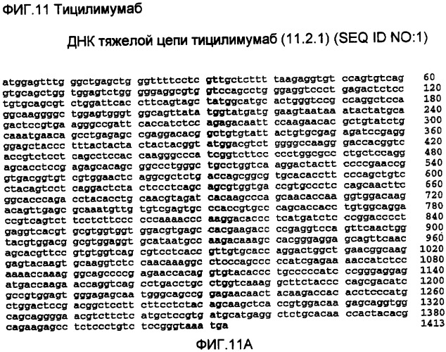 Композиция антител против ctla-4 (патент 2356579)