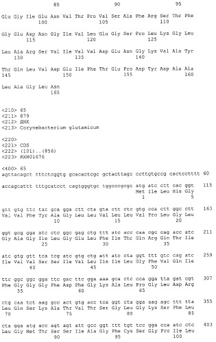 Гены corynebacterium glutamicum, кодирующие белки резистентности и толерантности к стрессам (патент 2303635)