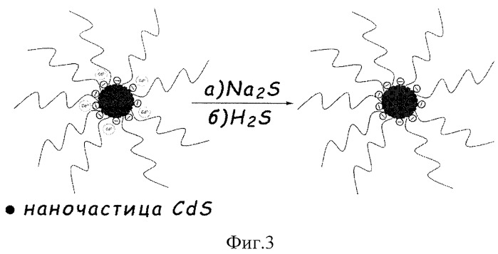 Способ получения люминесцентных наночастиц сульфида кадмия, стабилизированных полимерными матрицами (патент 2370517)
