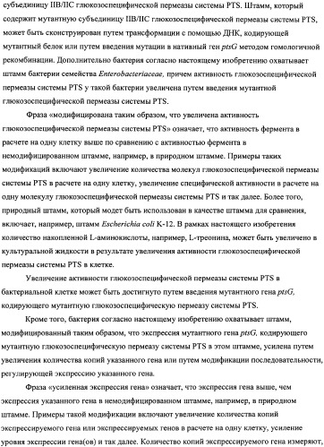 Мутантная iib/iic субъединица глюкозоспецифической пермеазы системы pts, фрагмент днк, бактерия, принадлежащая к роду escherichia, - продуцент l-треонина и способ получения l-треонина (патент 2335536)