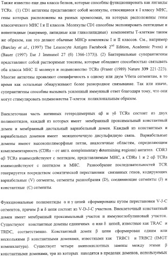 Экспонирование т-клеточных рецепторов (патент 2346004)