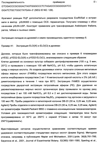 Способ получения полиненасыщенных кислот жирного ряда в трансгенных организмах (патент 2447147)