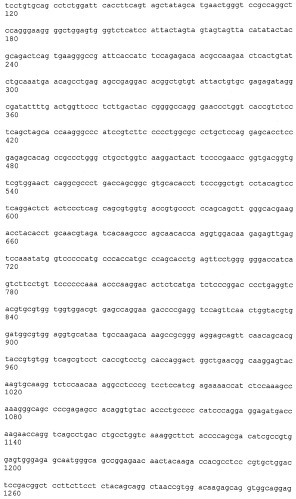 Антитела к человеческому nkg2d и их применения (патент 2563343)