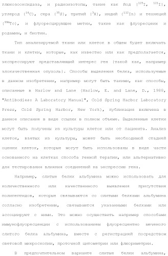 Слитые белки альбумина (патент 2369404)
