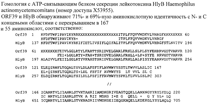 Антигены neisseria meningitidis (патент 2343159)