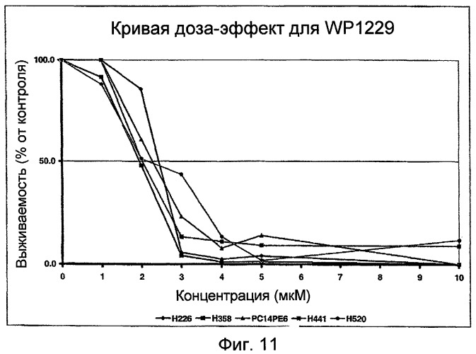 Биологически доступная для перорального применения кофейная кислота, относящаяся к противоопухолевым лекарственным средствам (патент 2456265)