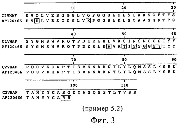 Гуманизированное антитело (патент 2538709)