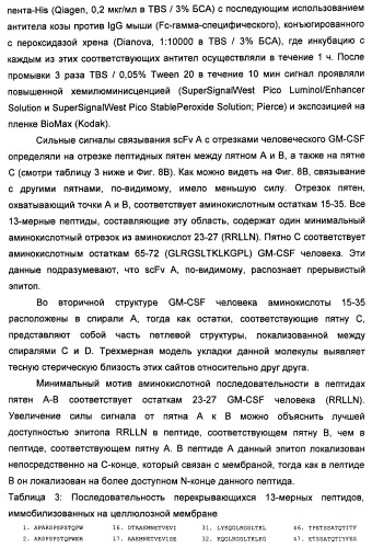 Антитела-нейтрализаторы гранулоцитарно-макрофагального колониестимулирующего фактора человека (патент 2458071)