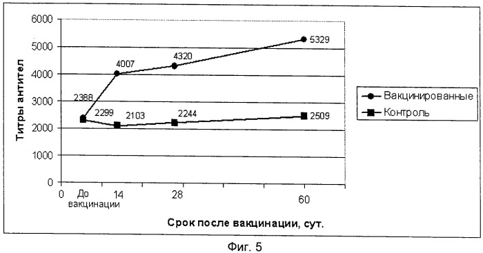 Вакцина ассоциированная против ньюкаслской болезни птиц, инфекционного бронхита кур, синдрома снижения яйценоскости-76, инфекционной бурсальной болезни и реовирусного теносиновита птиц инактивированная эмульсионная (патент 2443429)