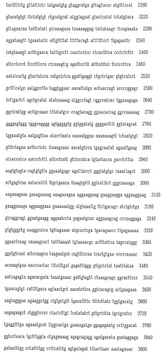 Экспрессионная система для повышения уровня экспрессии гена, молекула нуклеиновой кислоты, клетка, трансгенное животное и набор (патент 2469089)
