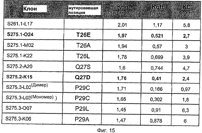 Мутеины липокалина слезной жидкости, обладающие аффинностью к с-мет рецепторной тирозинкиназе человека и способы их получения (патент 2515063)