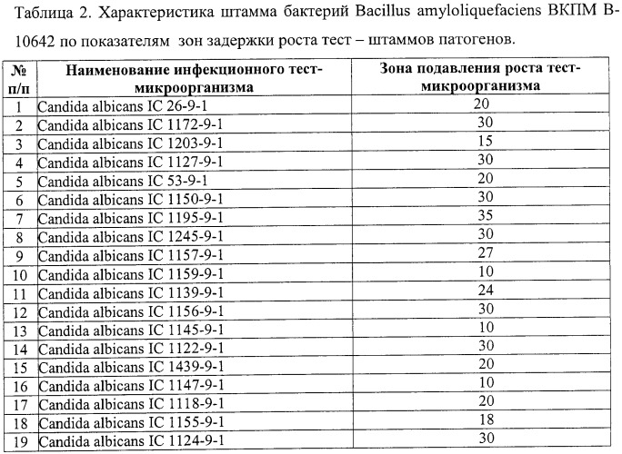 Штаммы бактерий bacillus subtilis и bacillus amyloliquefaciens, обеспечивающие восстановление микробиоценозов почвы и желудочно-кишечного тракта животных, обладающие бактерицидной, фунгицидной и вирулицидной активностью, и препарат на основе этих штаммов (патент 2482174)