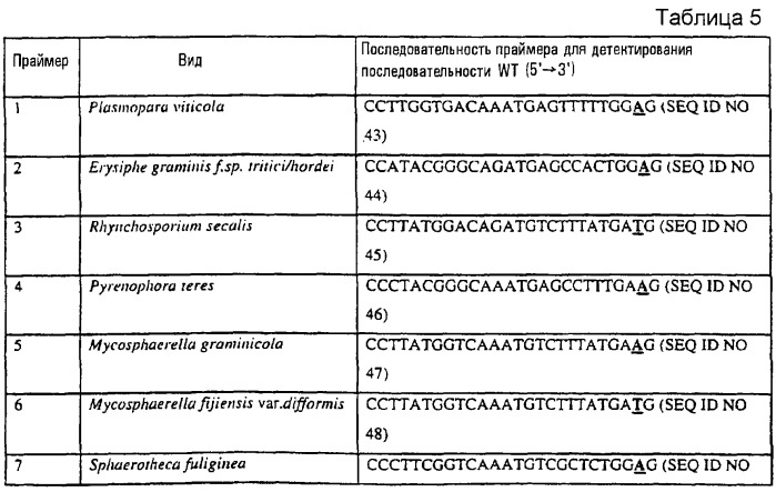 Диагностические способы обнаружения мутации цихрома b в грибах (патент 2244750)