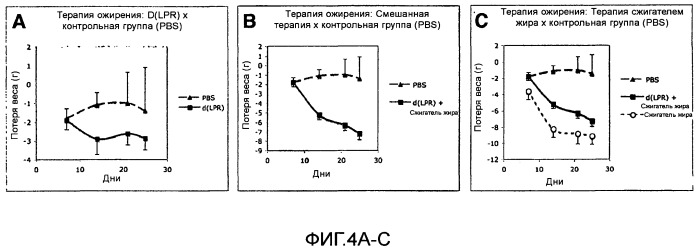 Пептиды направленного действия на vegfr-1/nrp-1 (патент 2488592)